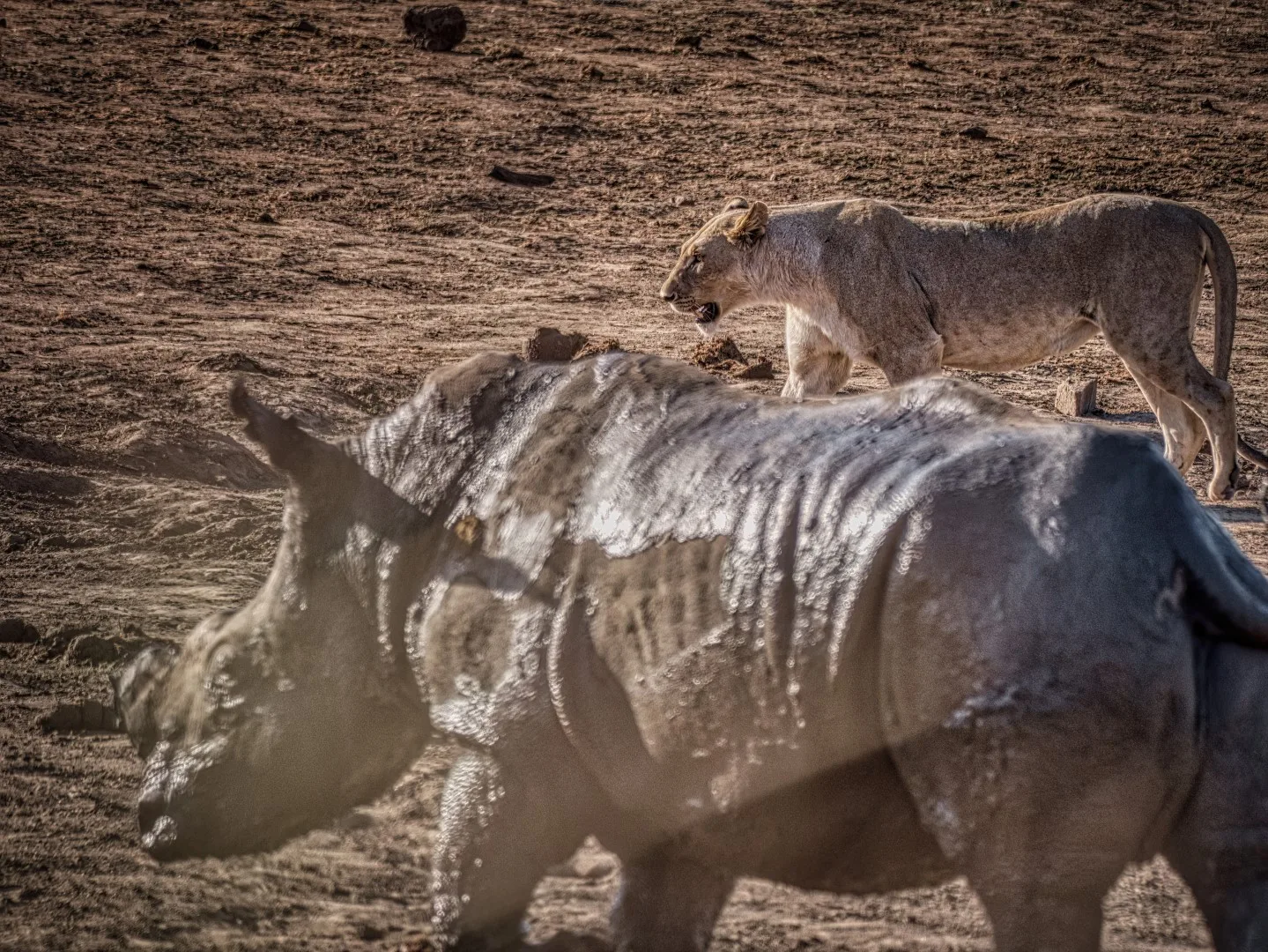 Etosha